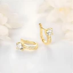 U-shaped Earrings thumbnail